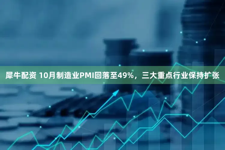 犀牛配资 10月制造业PMI回落至49%，三大重点行业保持扩张